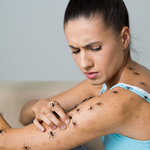 I "ragni" sulla pelle: quando il corpo parla (e noi impariamo ad ascoltarlo)